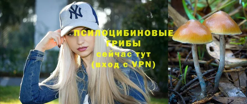 Все наркотики Корсаков Галлюциногенные грибы  COCAIN  ГАШ  A PVP  Мефедрон  Марихуана 