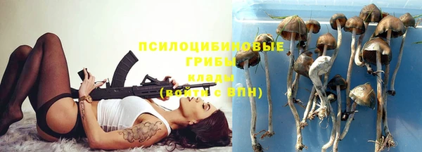 стафф Заволжье