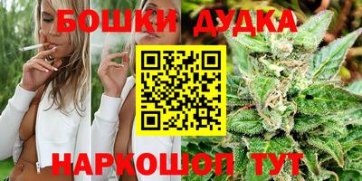 индика Донской