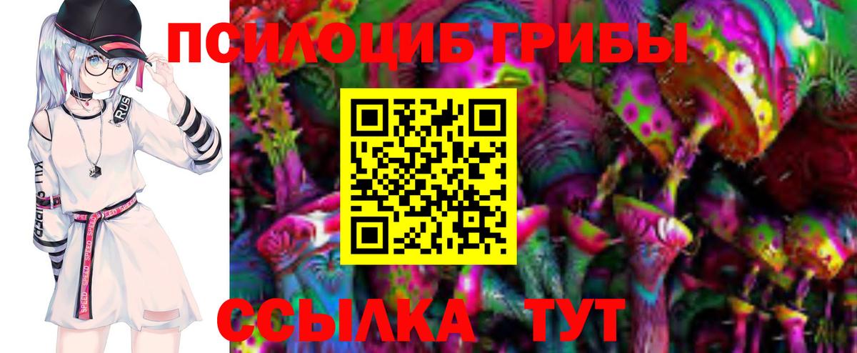 Псилоцибиновые грибы мухоморы Корсаков