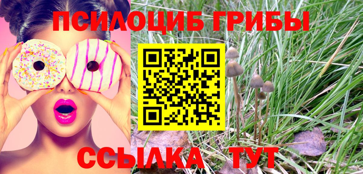 Псилоцибиновые грибы MAGIC MUSHROOMS  Корсаков  Псилоцибиновые грибы GOLDEN TEACHER 